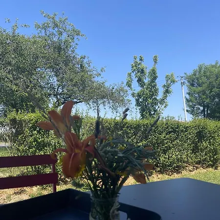 Tatil Evi Au Coeur De La Nature Avec Terrasse Privative - Fr-1-489-461